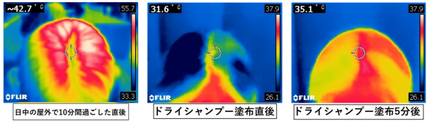 スクリーンショット 2024-08-13 175253